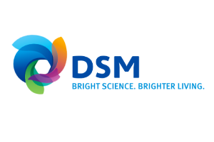 Logo DSM